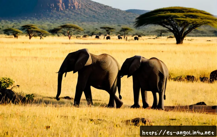 Home 15 앙골라에서 볼 수 있는 야생 동물 - Photorealistic African savanna scene in Angola’s Kissama National Park, a small family of African el...