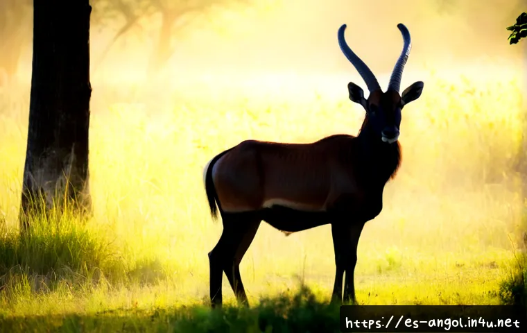 Fauna salvaje de Angola: qué animales buscar y cómo elegir una ruta de safari responsable 3 앙골라에서 볼 수 있는 야생 동물 관련 이미지 1